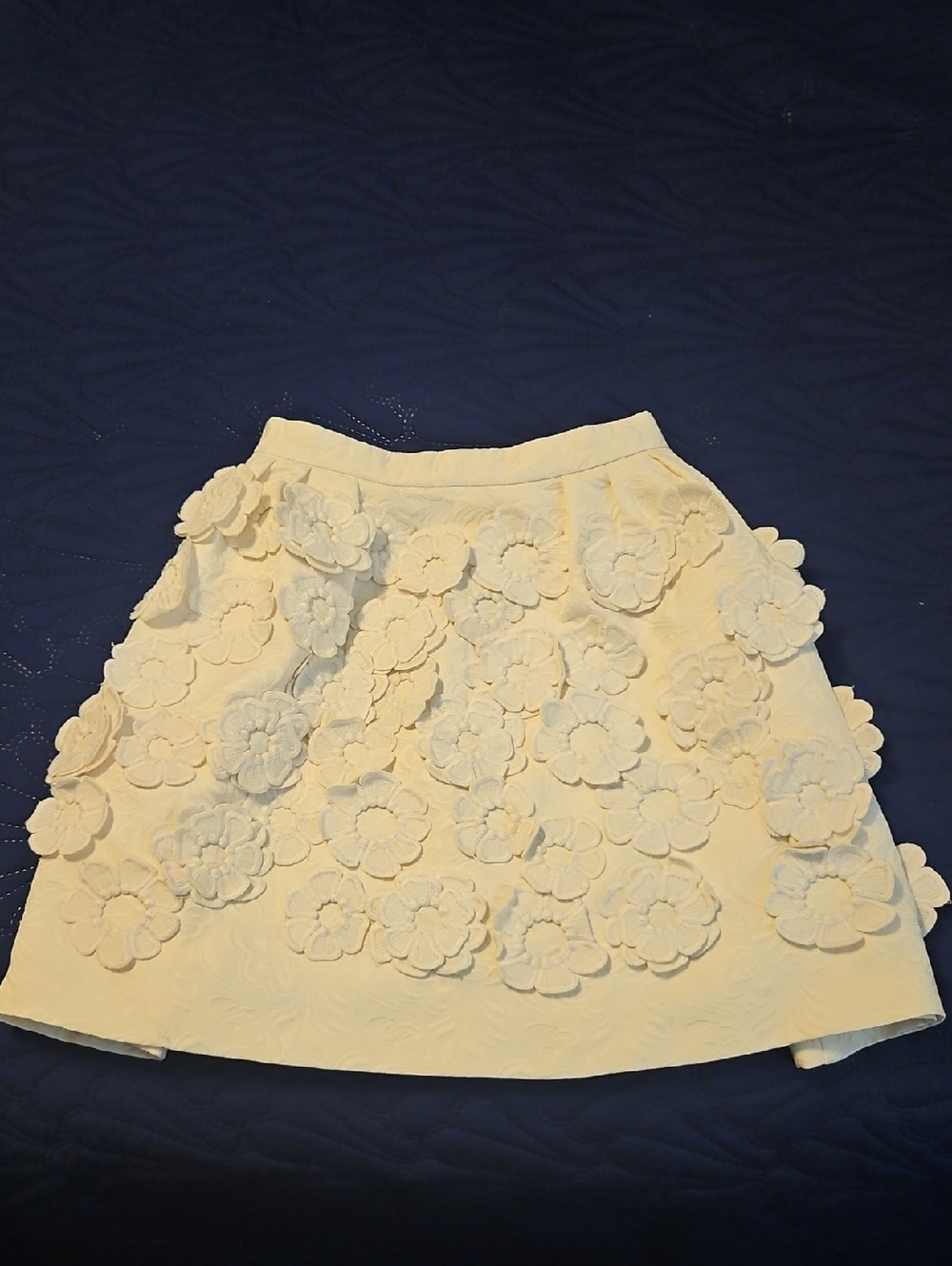 Floral Appliqué Cream Women's Skirt